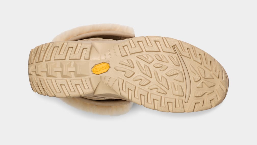 Butte Logo Sneakers - Premium Brand Shoes for Men and Women