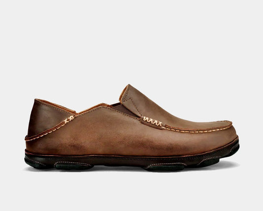 Moloa Sneakers - Premium Brand Shoes for Men and Women