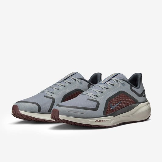 Nike Pegasus 41 GORE-TEX - Light Pumice/Ashen Slate
