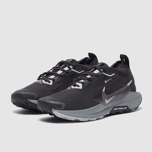 Nike Pegasus Trail 5 GORE-TEX