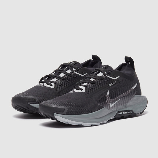 Nike Pegasus Trail 5 GORE-TEX