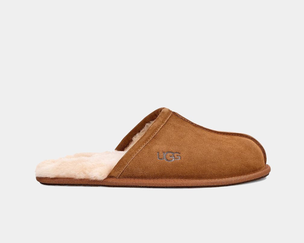 Scuff Sneakers - Premium Brand Shoes for Men and Women