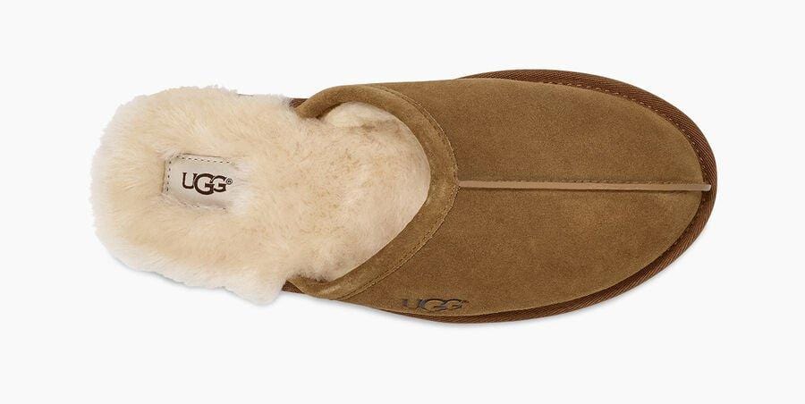 Scuff Sneakers - Premium Brand Shoes for Men and Women