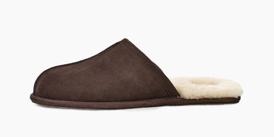 Scuff Sneakers - Premium Brand Shoes for Men and Women