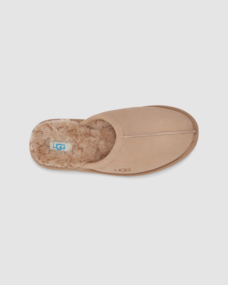 Scuff Sneakers - Premium Brand Shoes for Men and Women