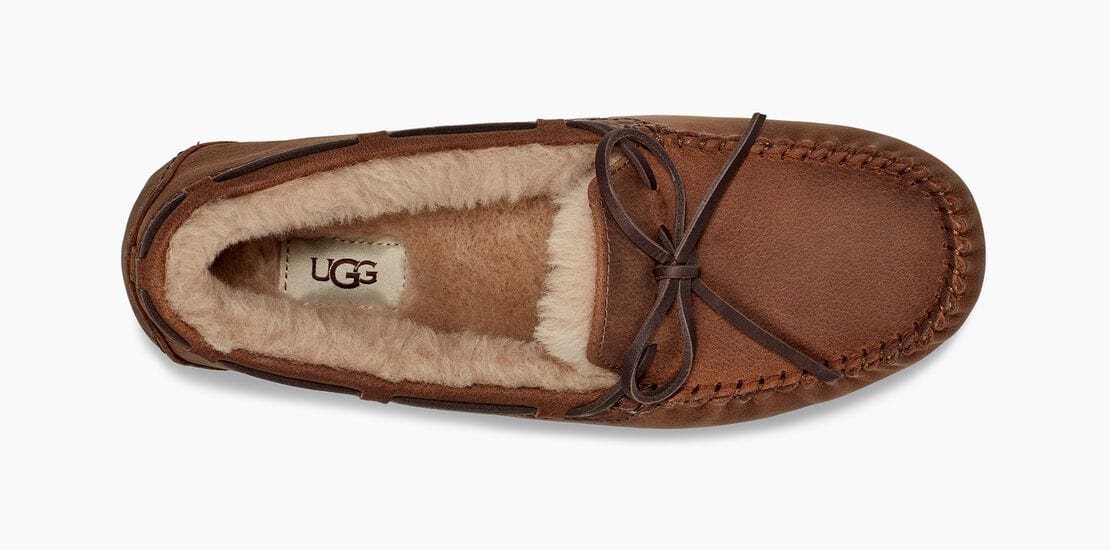 Olsen Sneakers - Premium Brand Shoes for Men and Women