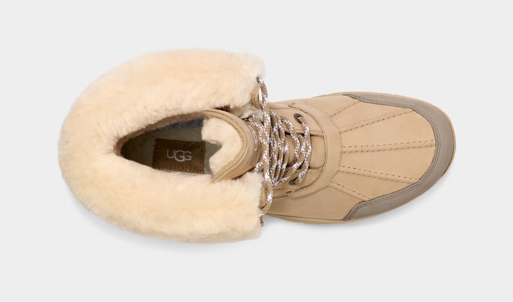 Butte Logo Sneakers - Premium Brand Shoes for Men and Women