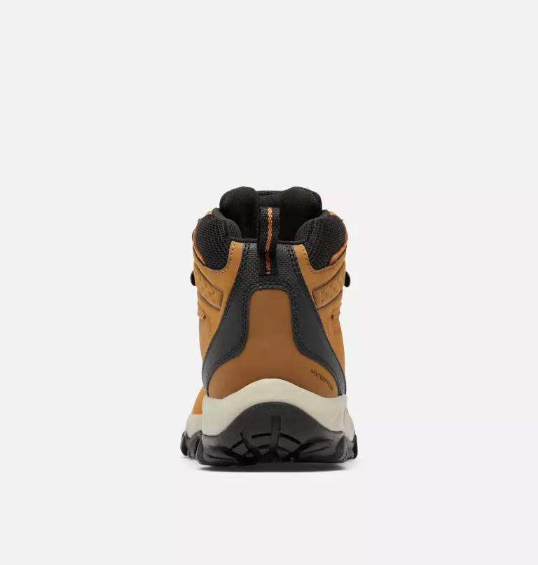 Newton Ridge Plus II Waterproof Sneakers - Premium Brand Shoes for Men and Women