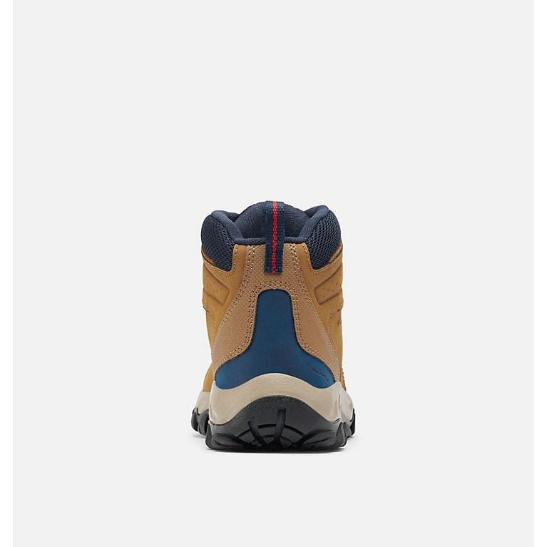 Newton Ridge Plus II Waterproof Sneakers - Premium Brand Shoes for Men and Women