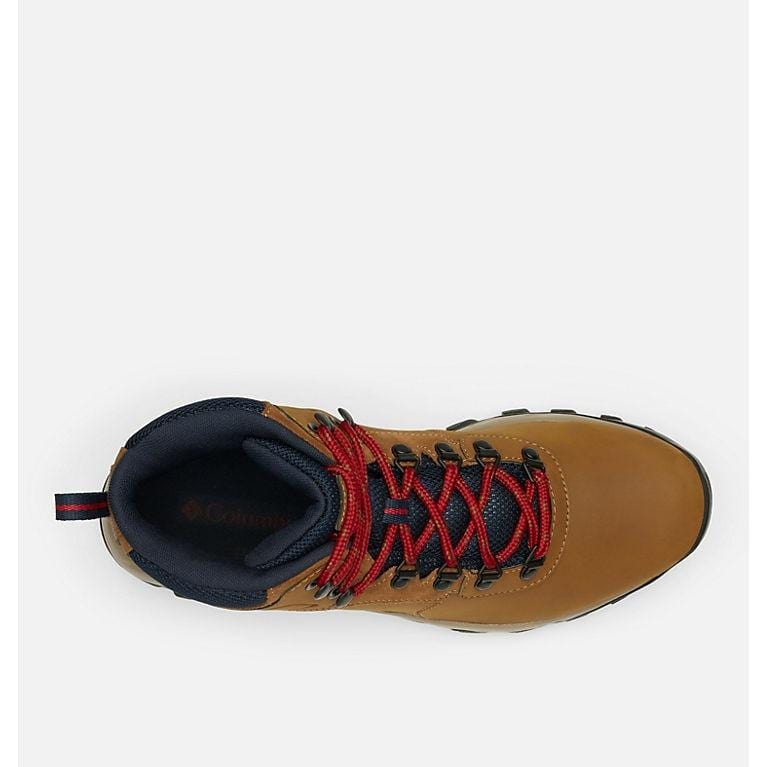 Newton Ridge Plus II Waterproof Sneakers - Premium Brand Shoes for Men and Women