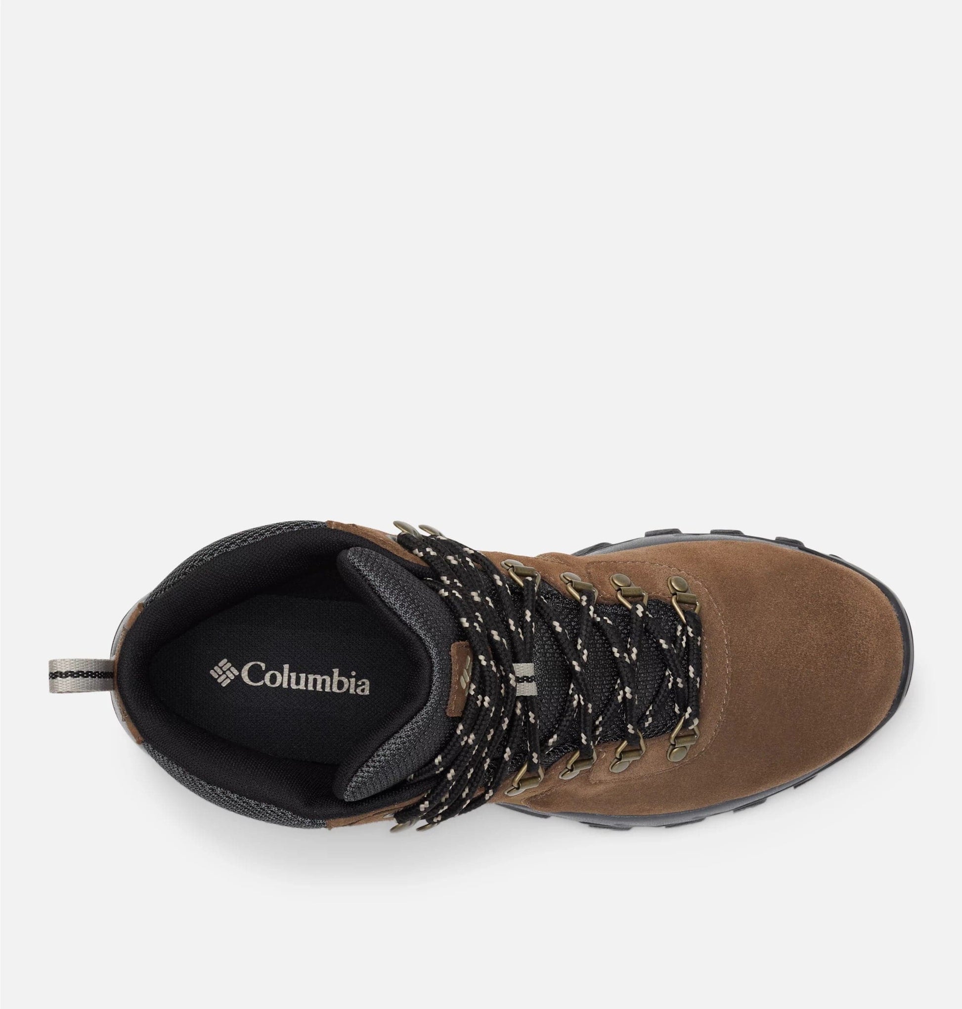 Newton Ridge Plus II Suede WP Sneakers - Premium Brand Shoes for Men and Women