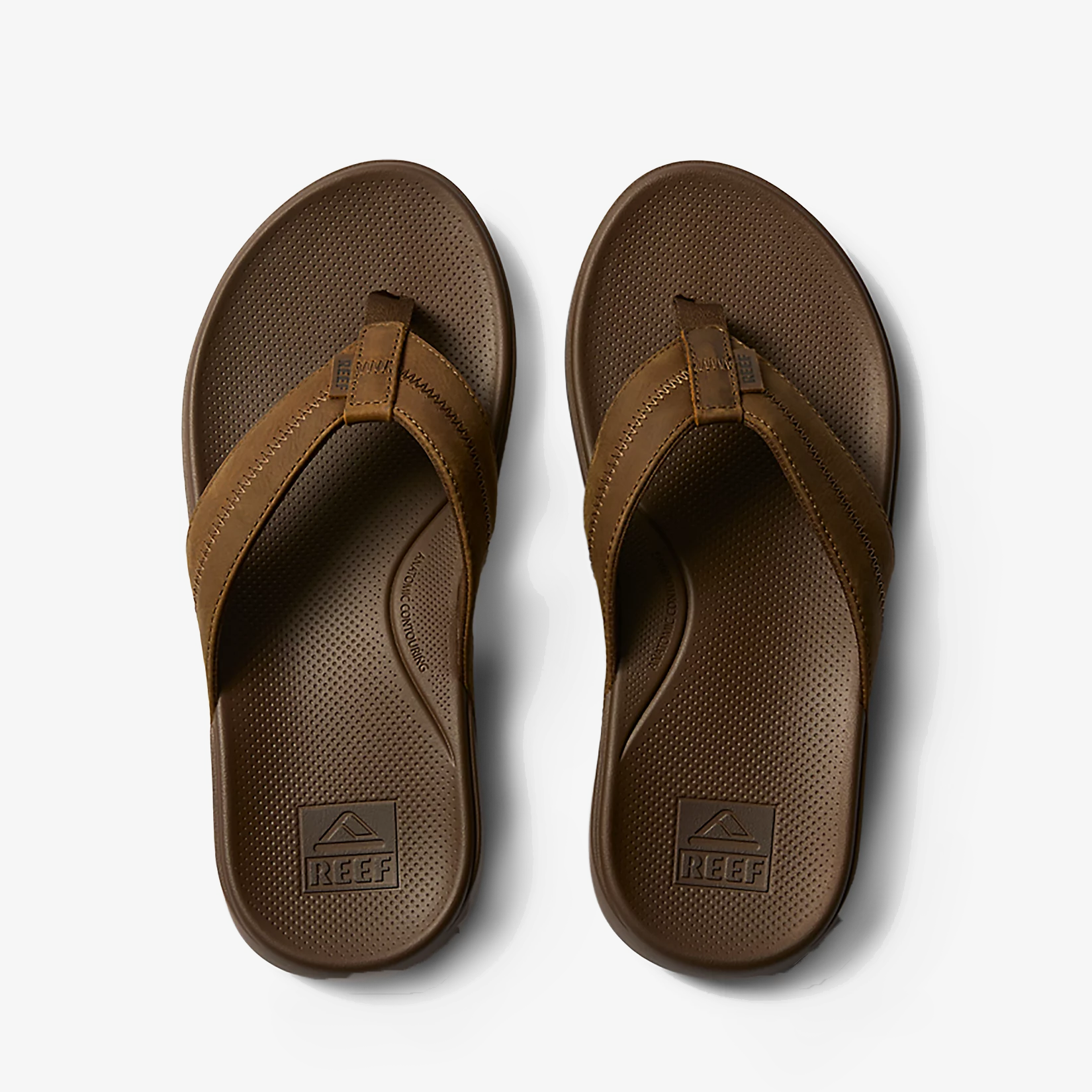 Cushion Phantom 2.0 LE Sneakers - Premium Brand Shoes for Men and Women