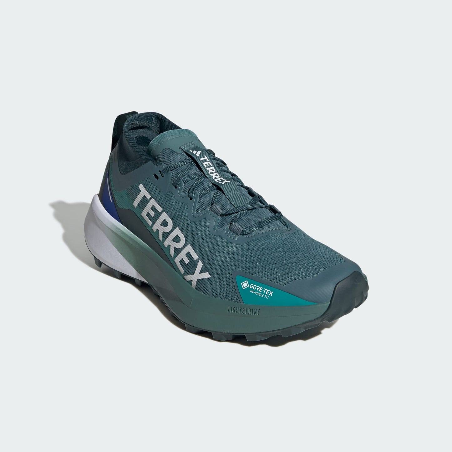 adidas Terrex Agravic GTX Trail