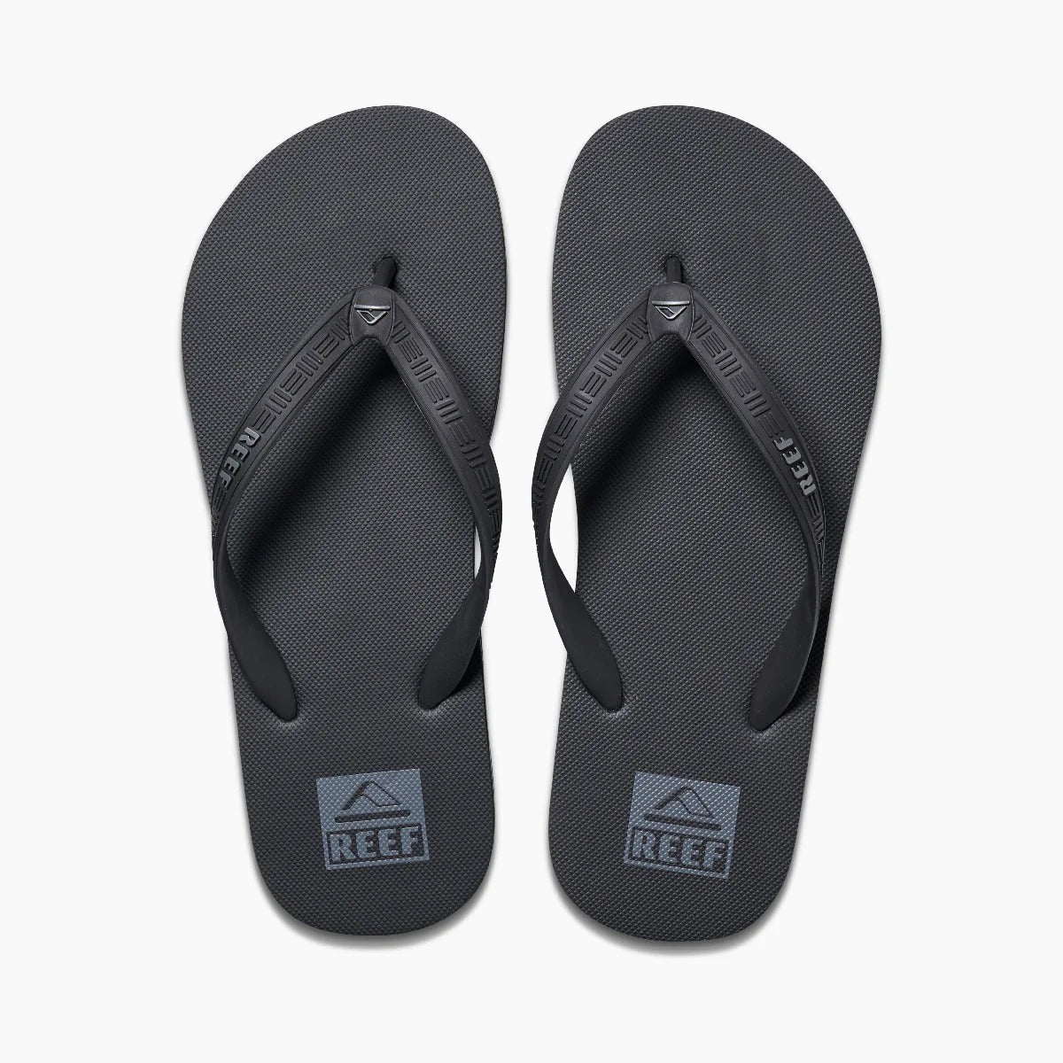 Seaside Sneakers - Premium Brand Shoes for Men and Women