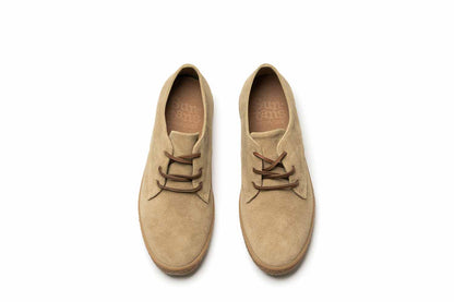 Sun-tans Buck Sneakers - Premium Brand Shoes for Men and Women