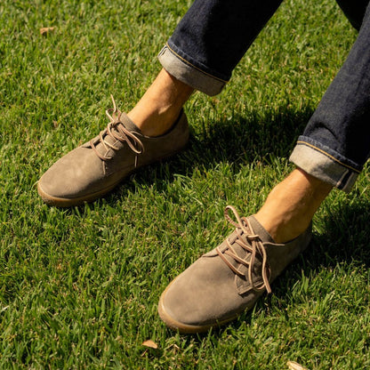 Sun-tans Buck Sneakers - Premium Brand Shoes for Men and Women
