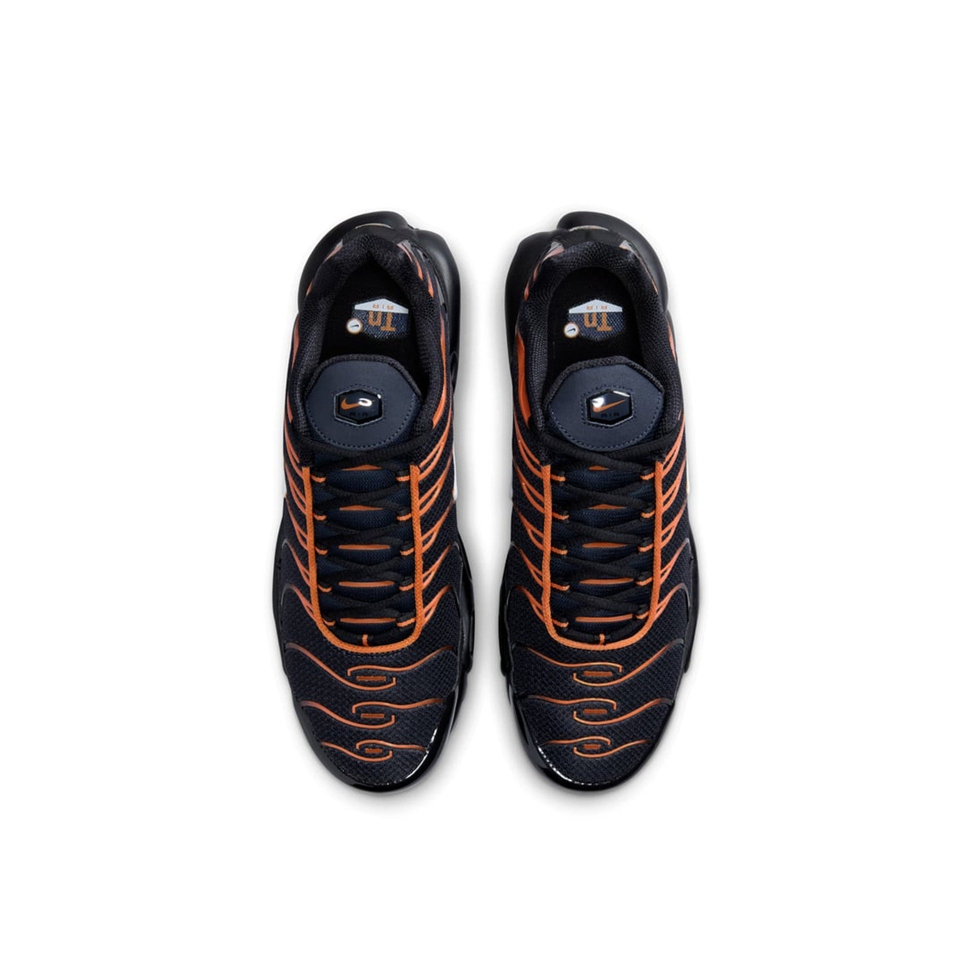 Nike Air Max Plus TN 'Dark Obsidian Monarch' (2024)