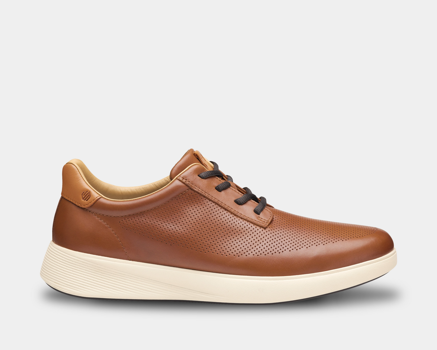Ackerson Perfed Plain Toe Sneakers - Premium Brand Shoes for Men and Women