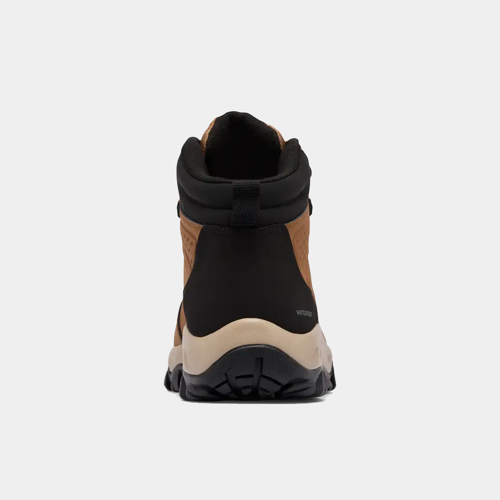 Newton Explorer Sneakers - Premium Brand Shoes for Men and Women